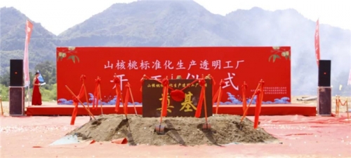 【一线投影】临安区年产10000吨山核桃标准化生产透明工厂项目开工！